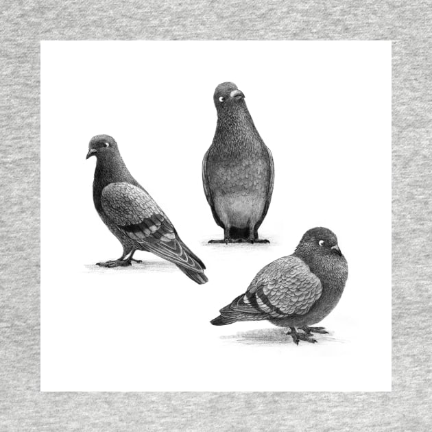 Three Pigeons by Terry Fan